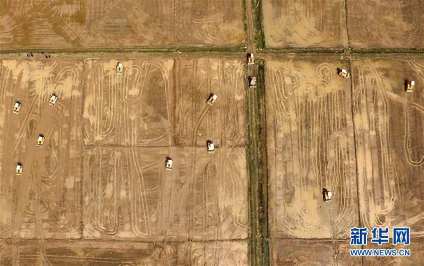 泾口乡农民驾驶农用机械在田间耕作(无人机拍