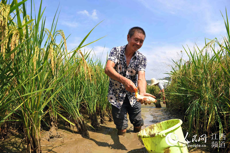 万载县黄茅gdp_爱心点亮未来 江西省宜春市万载县黄茅镇