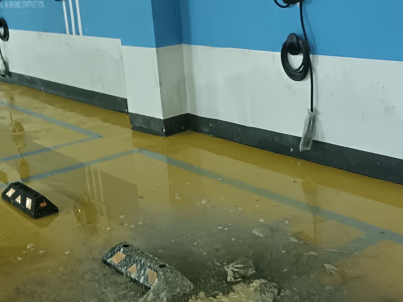 胡女士所在小区地下室积水严重。受访者供图