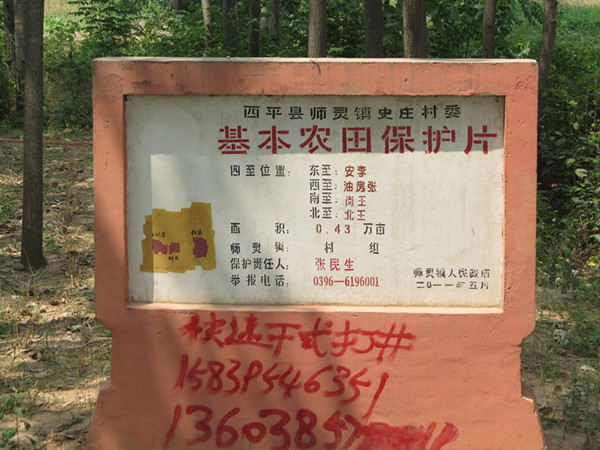 西平县师灵镇:基本农田建房泛滥 坚守18亿亩耕