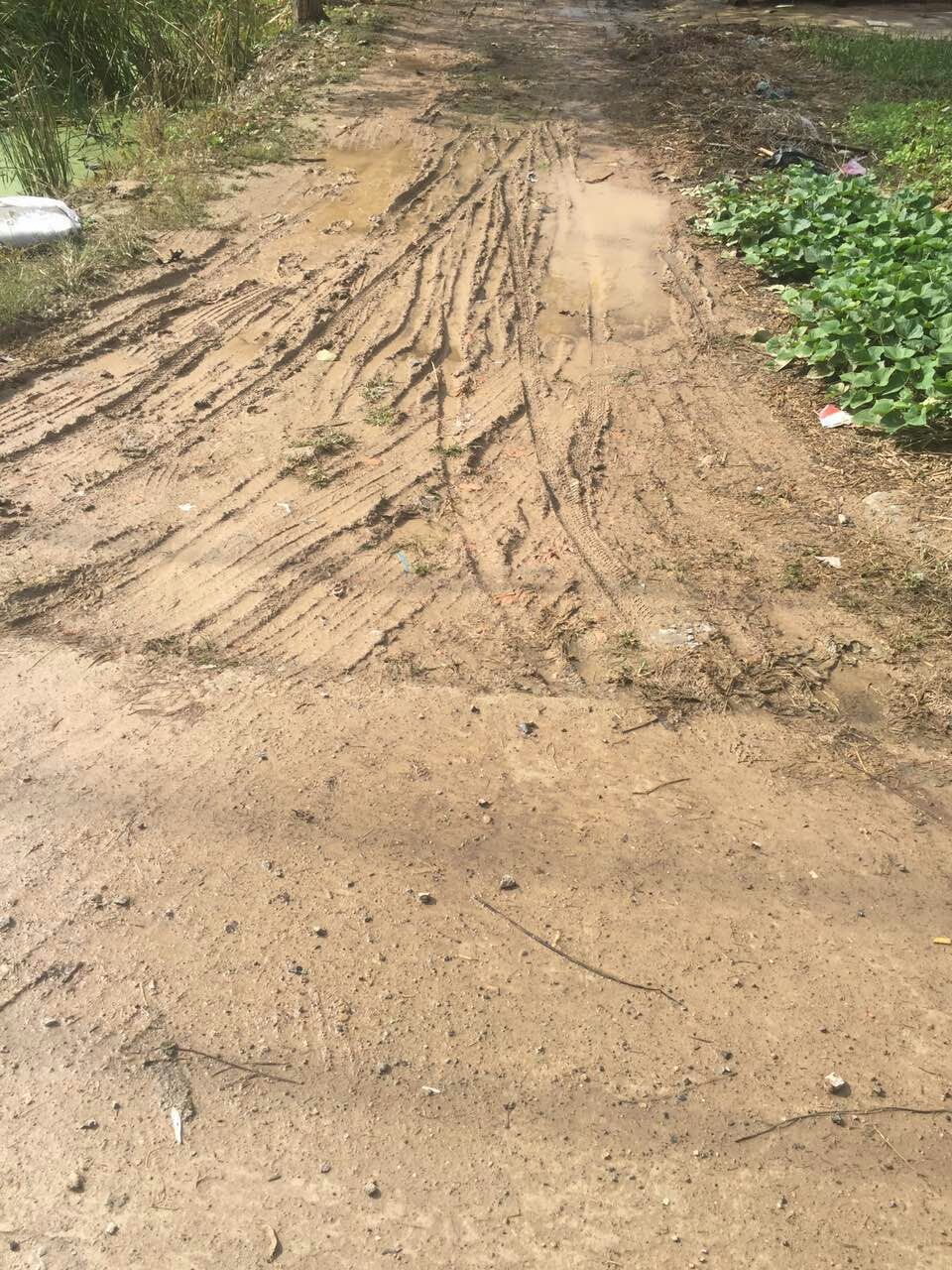 村里的烂泥路影响居民生活,下雨天交通不安全