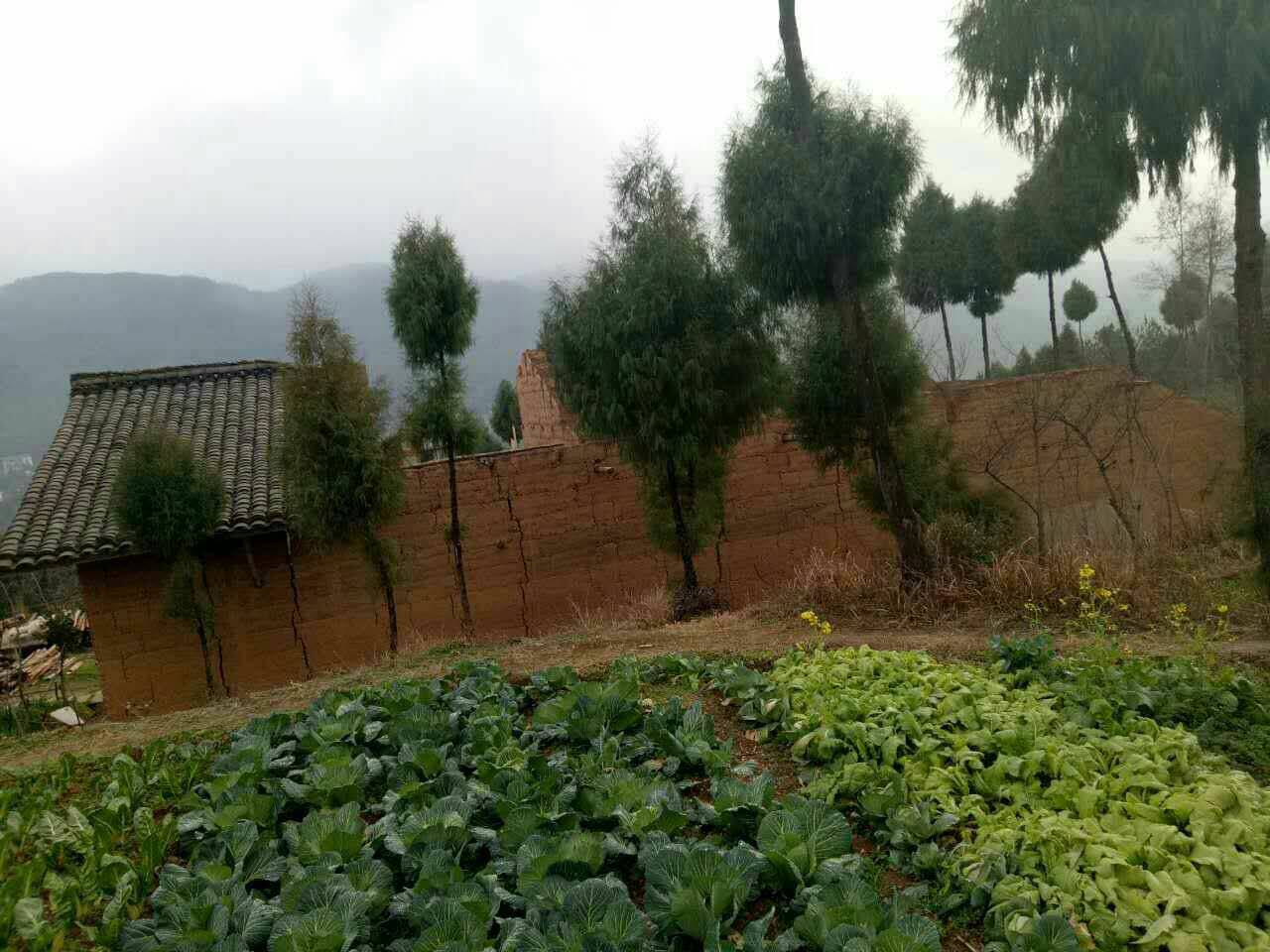 我的异地搬迁精准扶贪建房补助款还有吗? - 苍