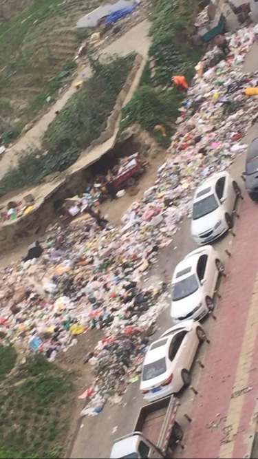 新都区大丰镇街道破坏生态环境违规乱搭垃圾站