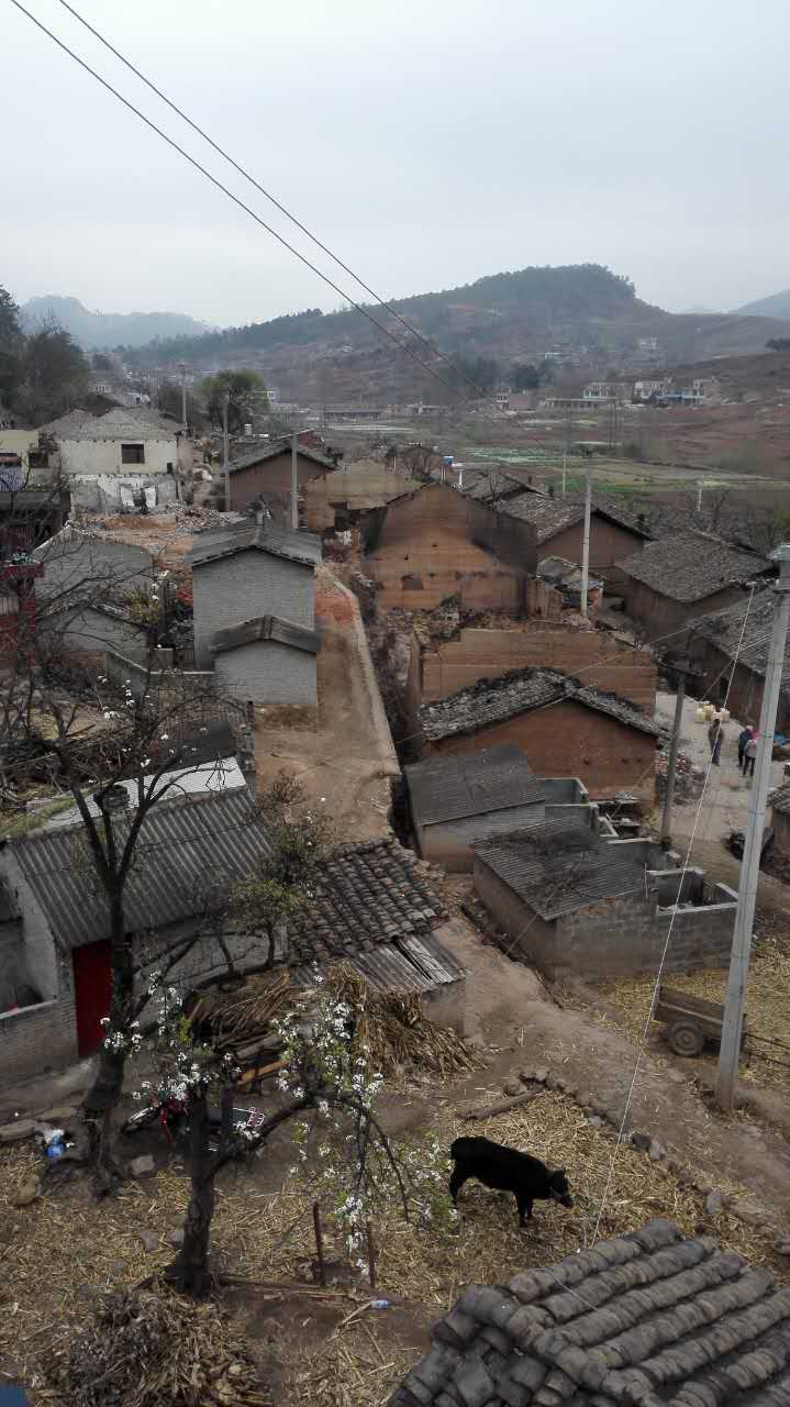 关于【宣威市倘塘镇陈家营村特大火灾】的求助