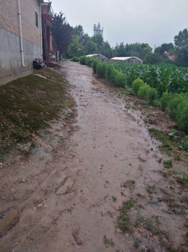 农村道路雨天泥泞不堪,八年至今遇雨难行!