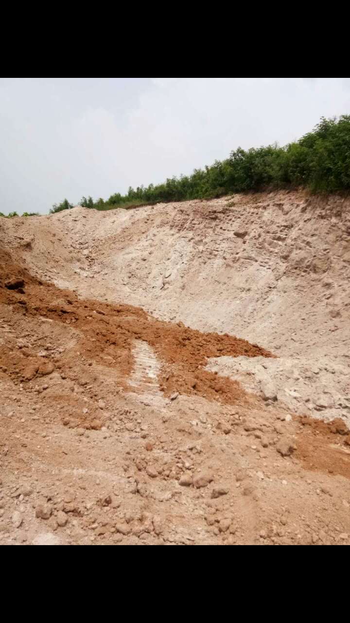 汝阳县,柏树乡,秦停村,大块地 - 汝阳县委书记 - 洛阳