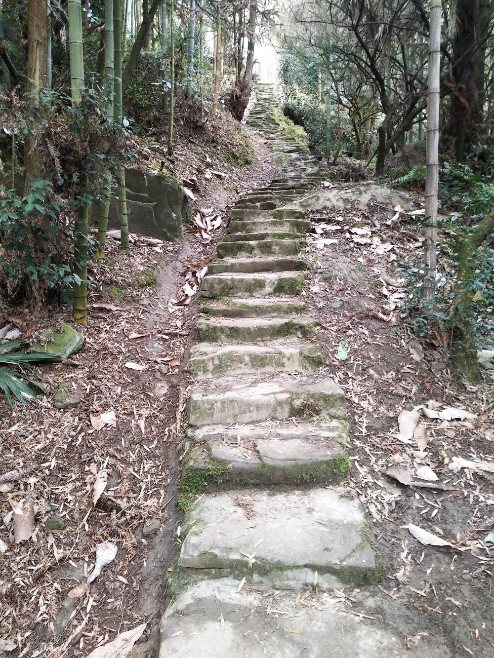 困难山区,滴水难求 - 大邑县委书记 - 成都市 - 四川