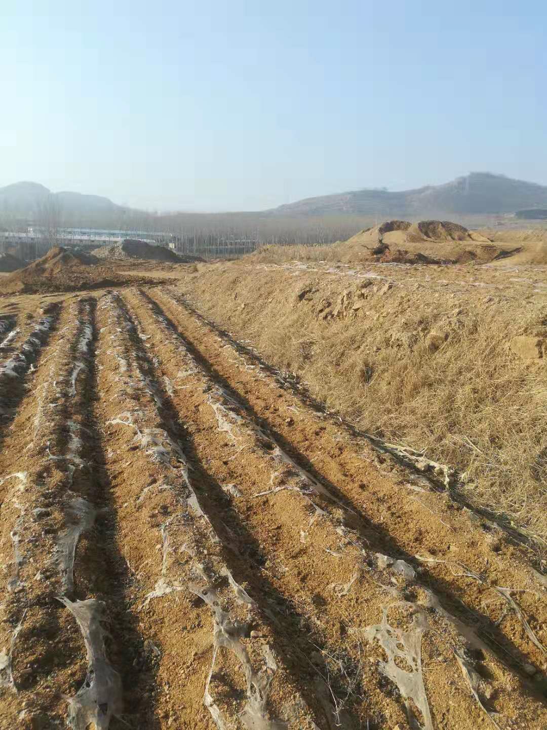 破坏耕地,在耕地里挖土洗沙 - 新泰市委书记 - 泰安市 - 山东省