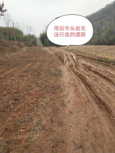 南阳市桐柏县回龙乡黄楝岗村刘大庄组道路求助