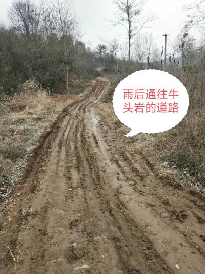 南阳市桐柏县回龙乡黄楝岗村刘大庄组道路求助