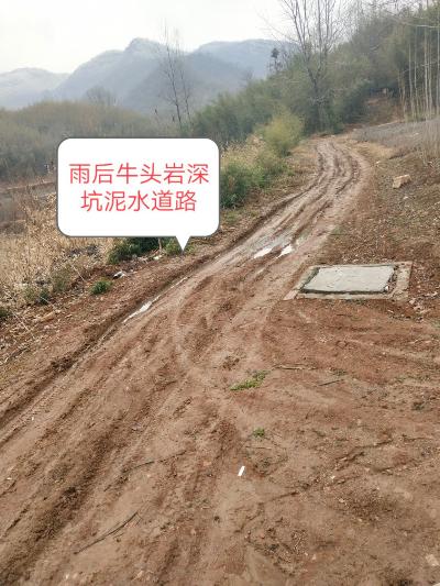 南阳市桐柏县回龙乡黄楝岗村刘大庄组道路求助