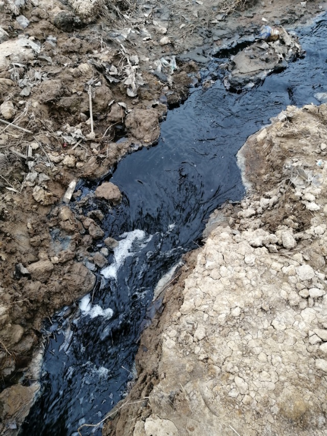 工厂废水不处理随意往村庄农田环绕的排放