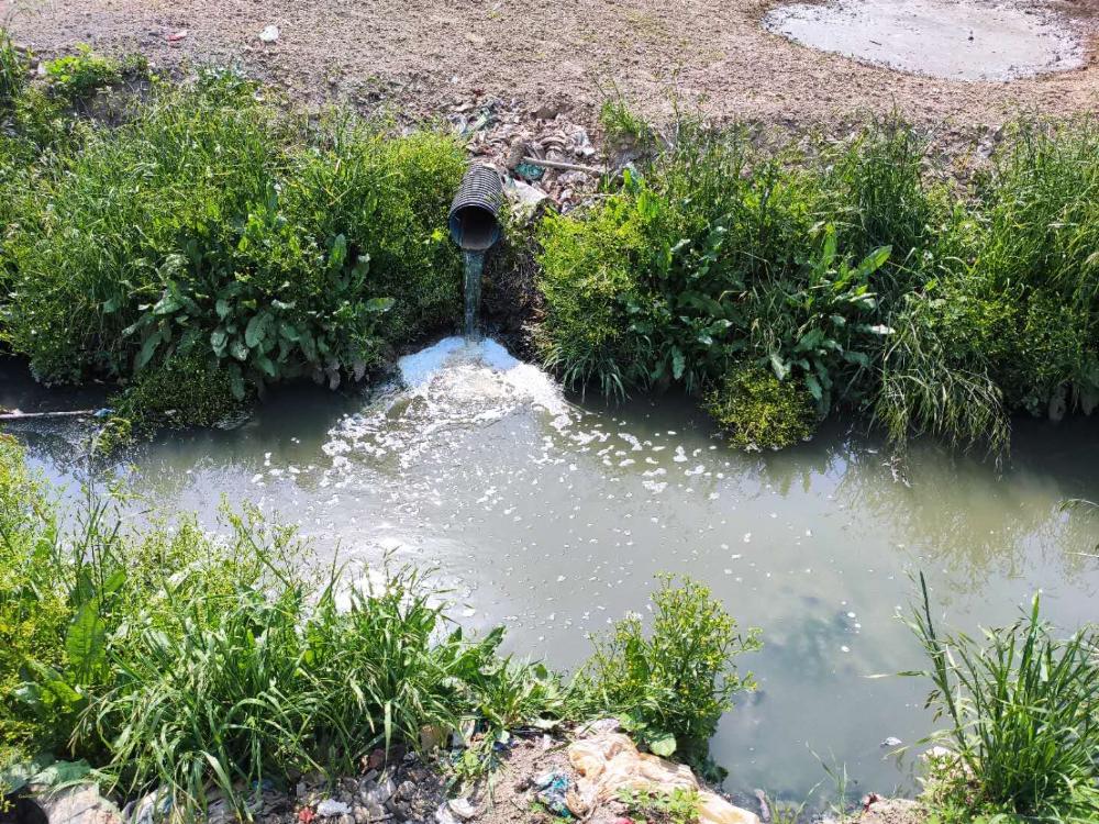 河道污水排放,水污染严重,希望有关部分关注