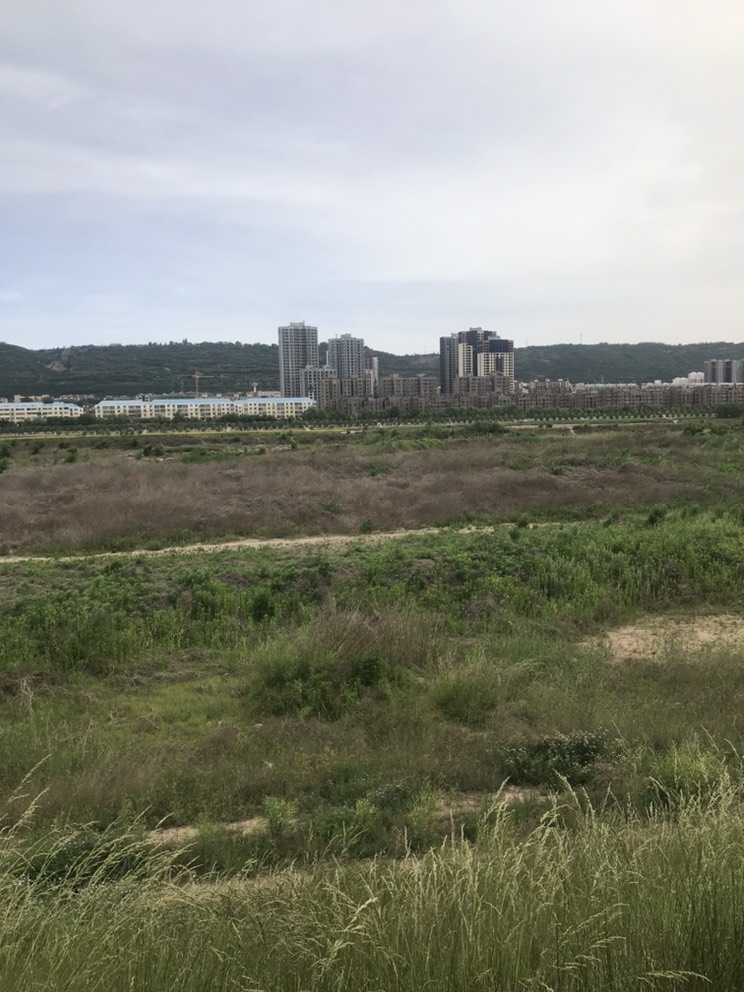 宝鸡渭滨区海棠体育公园 - 宝鸡市委书记 - 宝鸡市