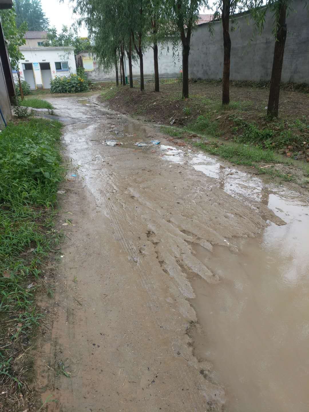 萧县黄口镇南马庄村道路问题