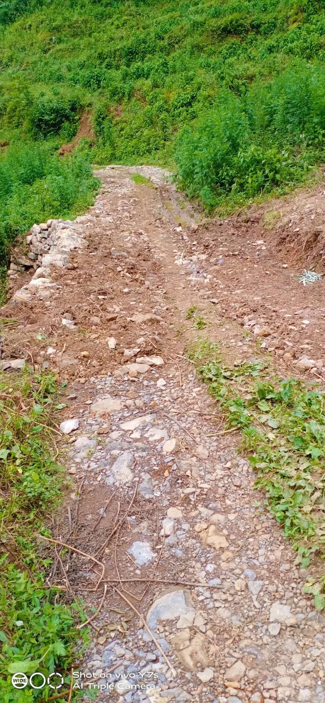 求助领导硬化本村土路 - 镇雄县委书记 - 昭通市 - 省