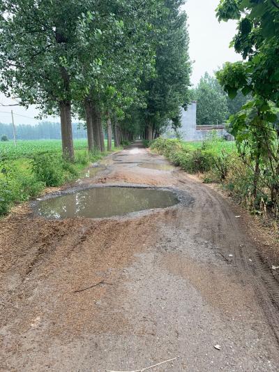 夏邑县业庙乡菜市场向东从关楼村到八里庄村柏坏 - 夏邑县委书记