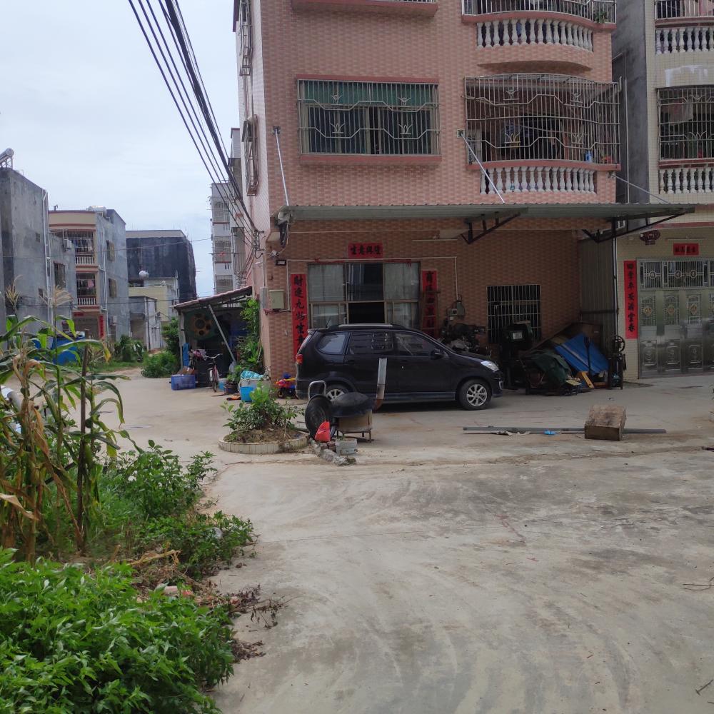 关于惠东白花镇城建办 - 惠州市委书记胡洪 - 惠州市