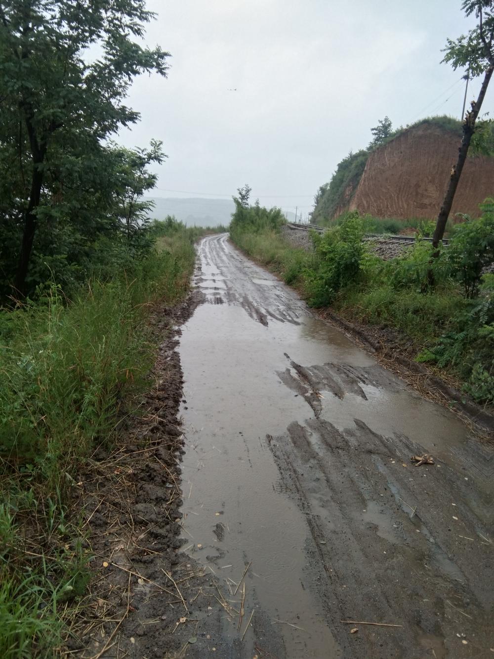 白水县林皋镇张长城村生产道路