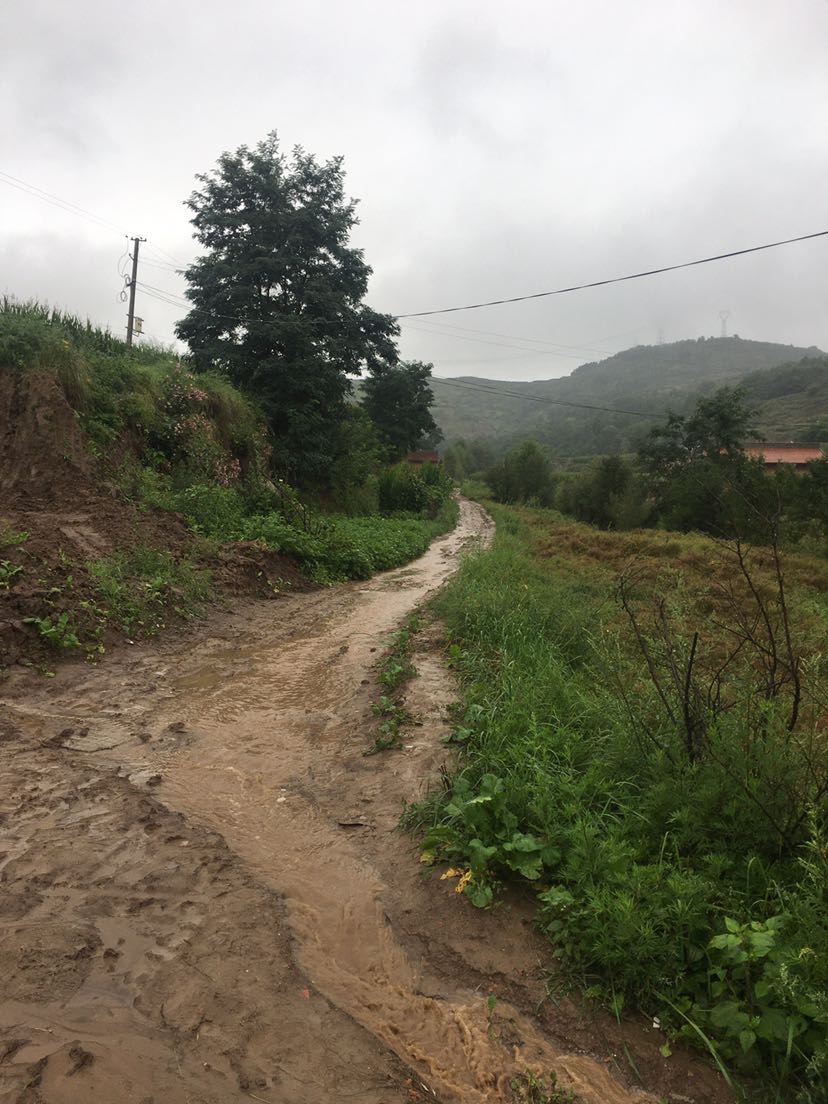 雨后的乡村道路