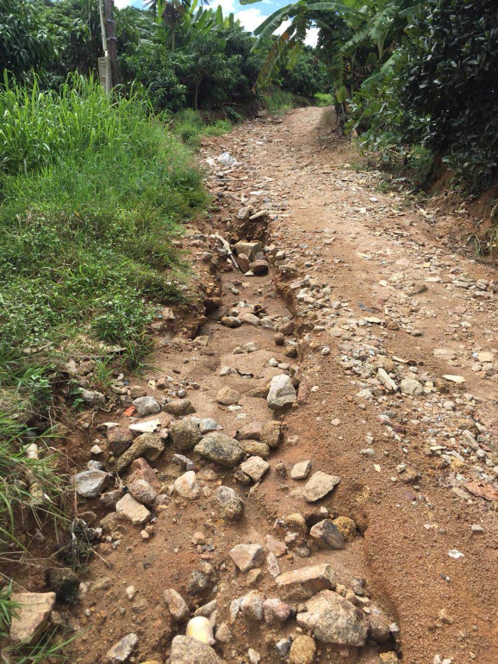 崎岖,弯曲,陡峭,坑洼不平,深沟,碎石的道路