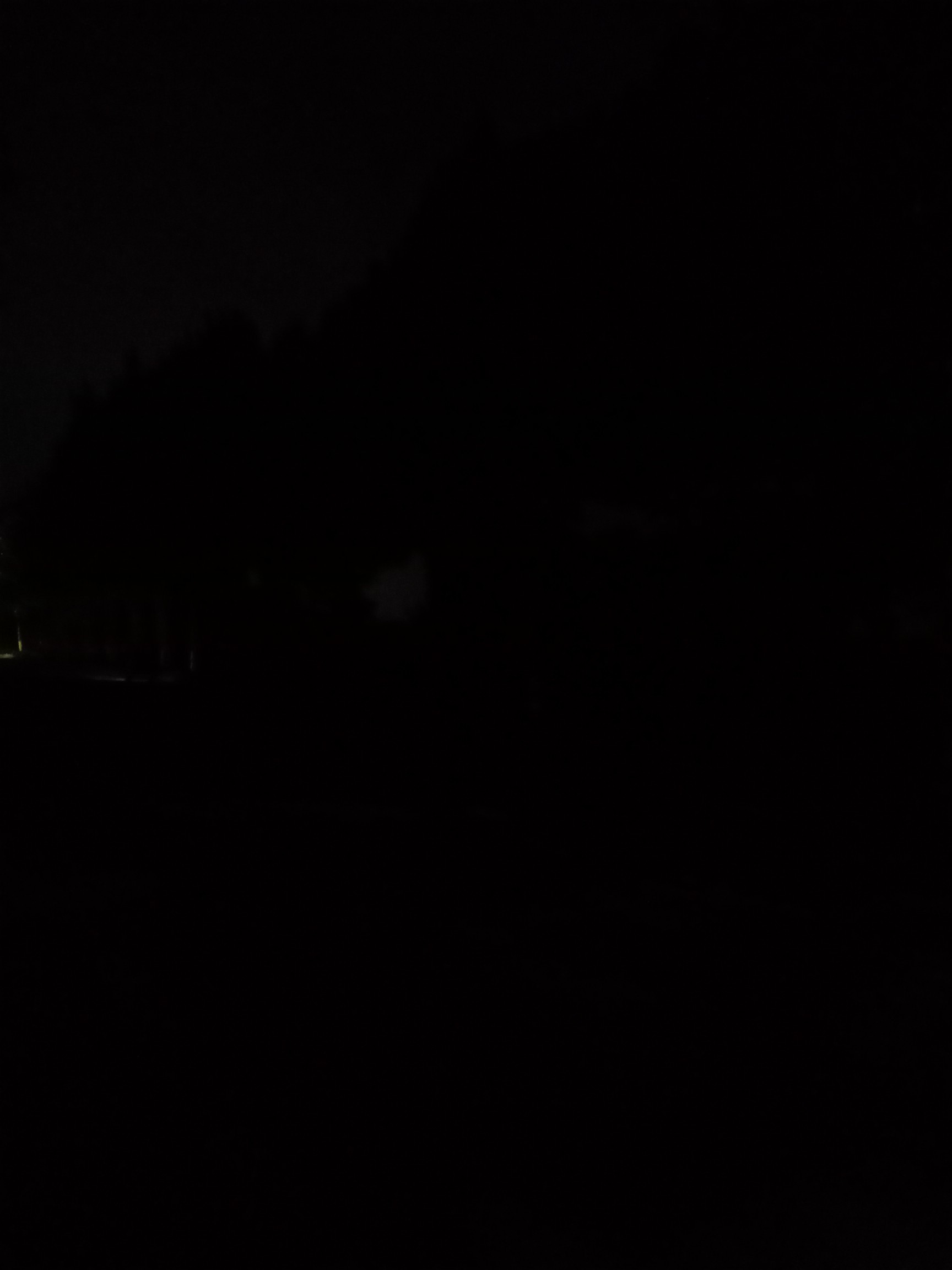 站前路灯被大树挡住晚上一片漆黑.