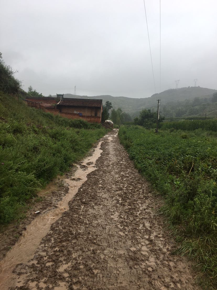 雨后的乡村道路