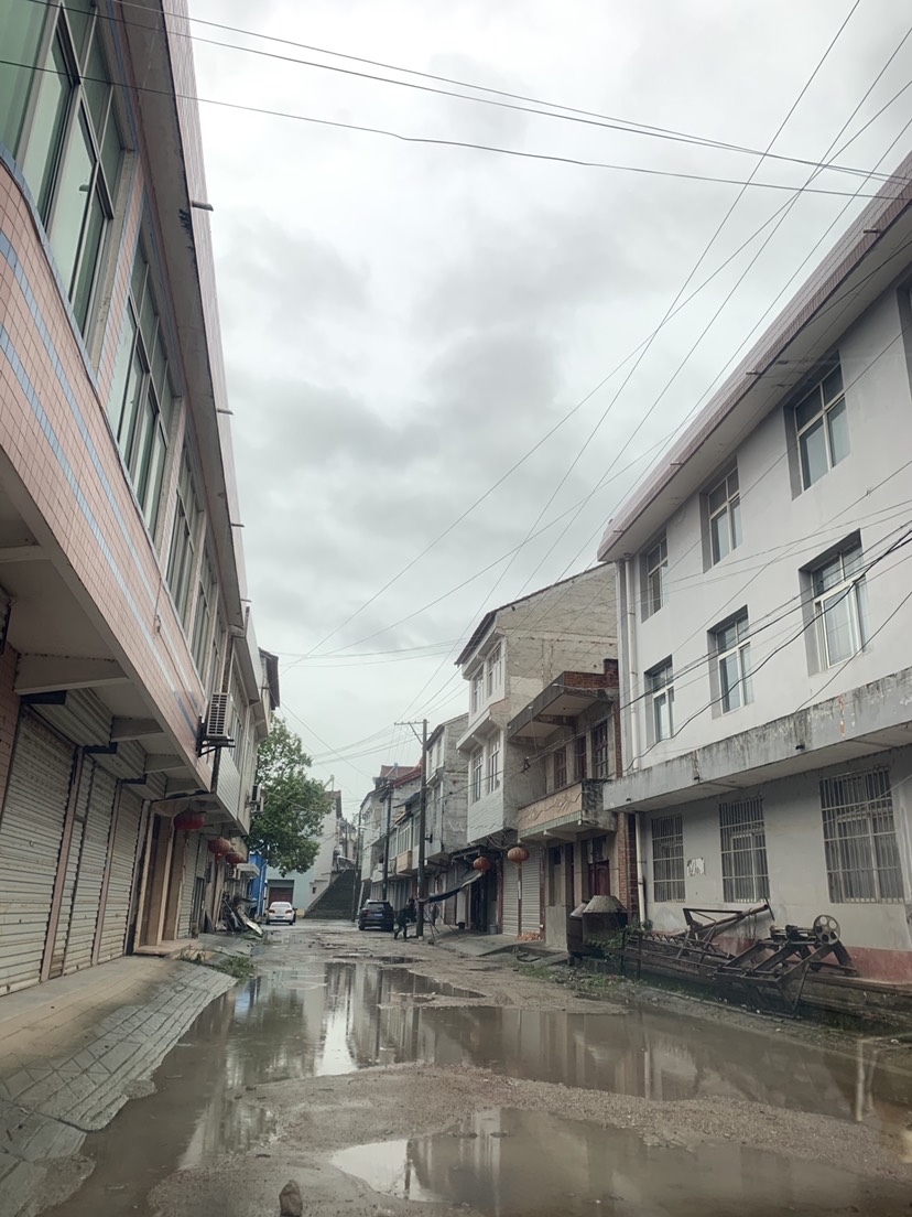 老道寺镇道路泥泞无法出行 - 勉县县委书记 - 汉中市