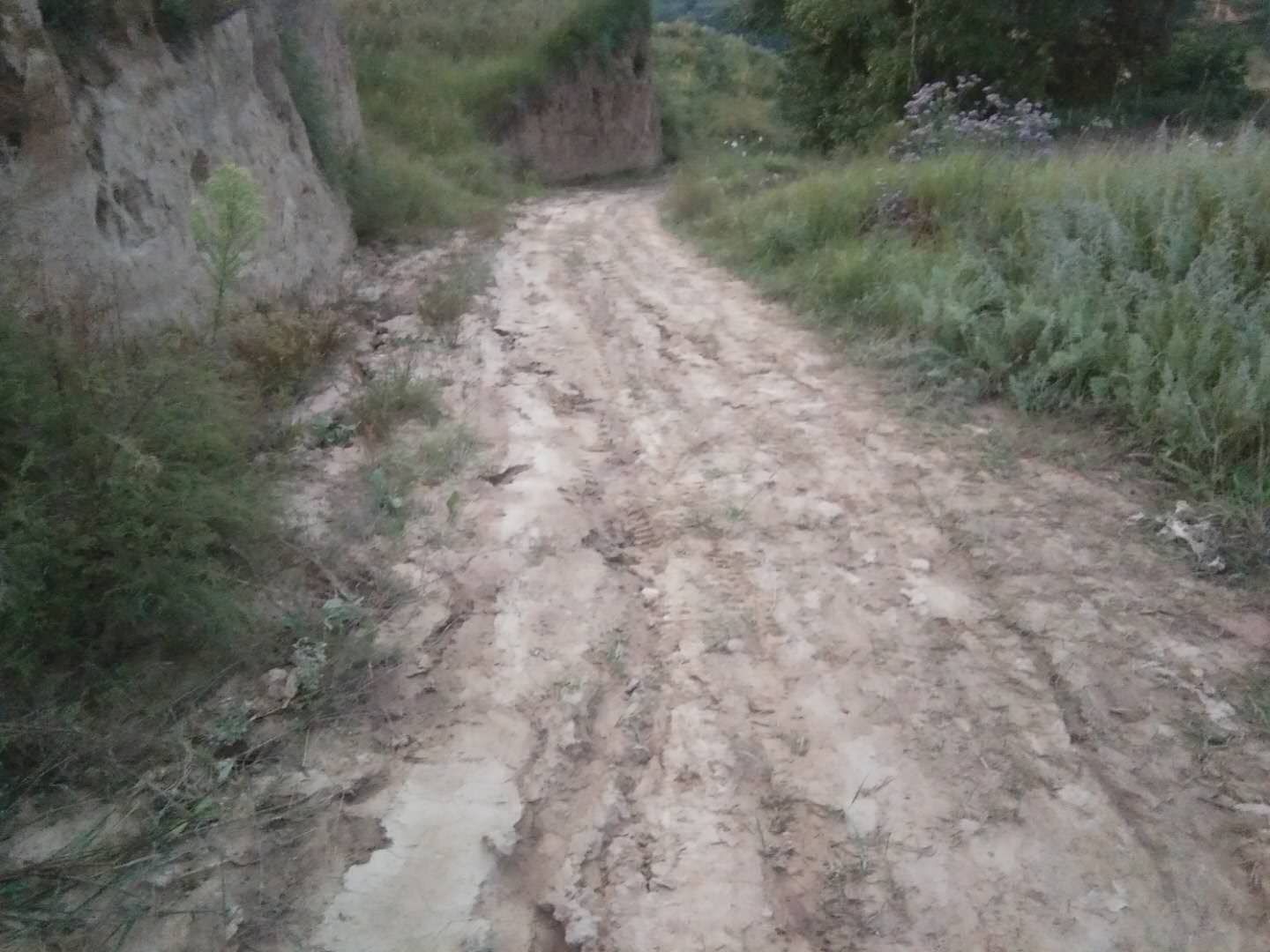 农村土路硬化已办理交通求助