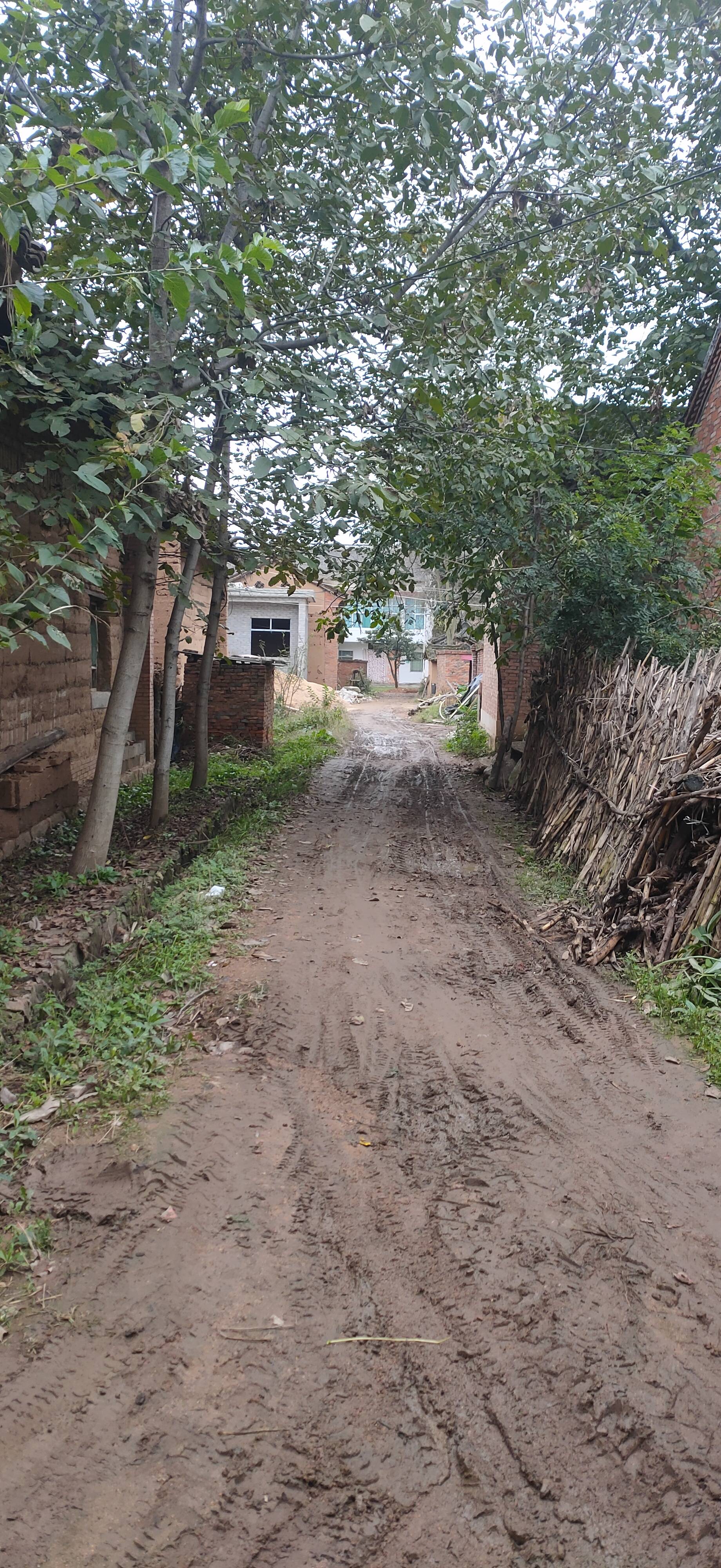 村里道路泥泞不堪,群众苦不堪言