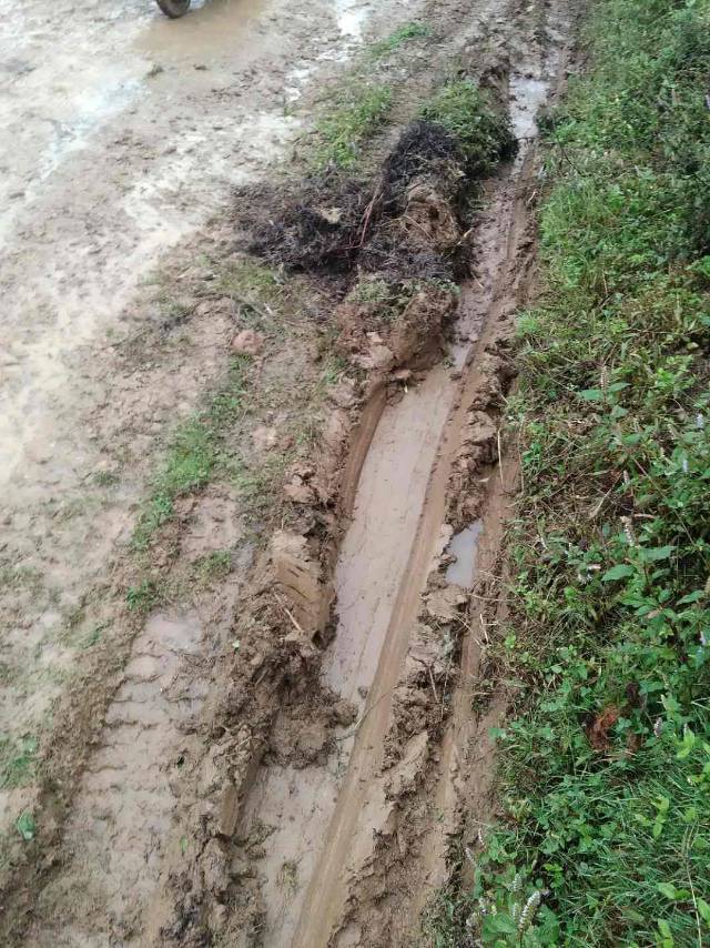 彝良县奎香乡黑拉村黎湾组进村道路没有硬化