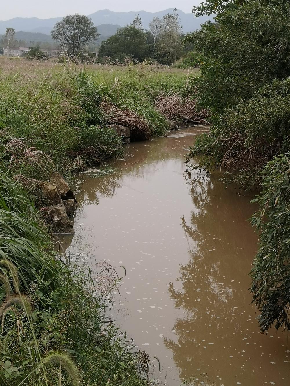 东河口镇基本农田建设河道垮塌