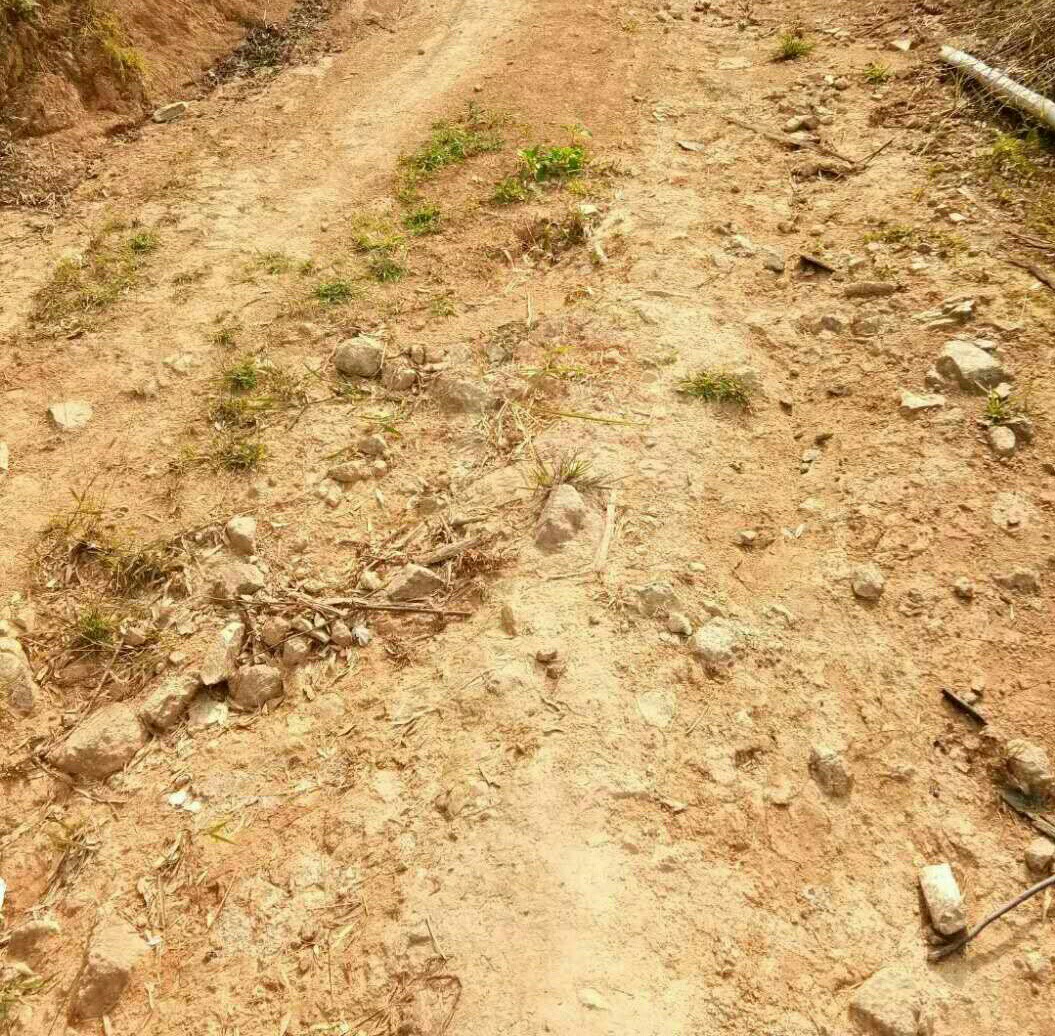 乡村道路,泥土路