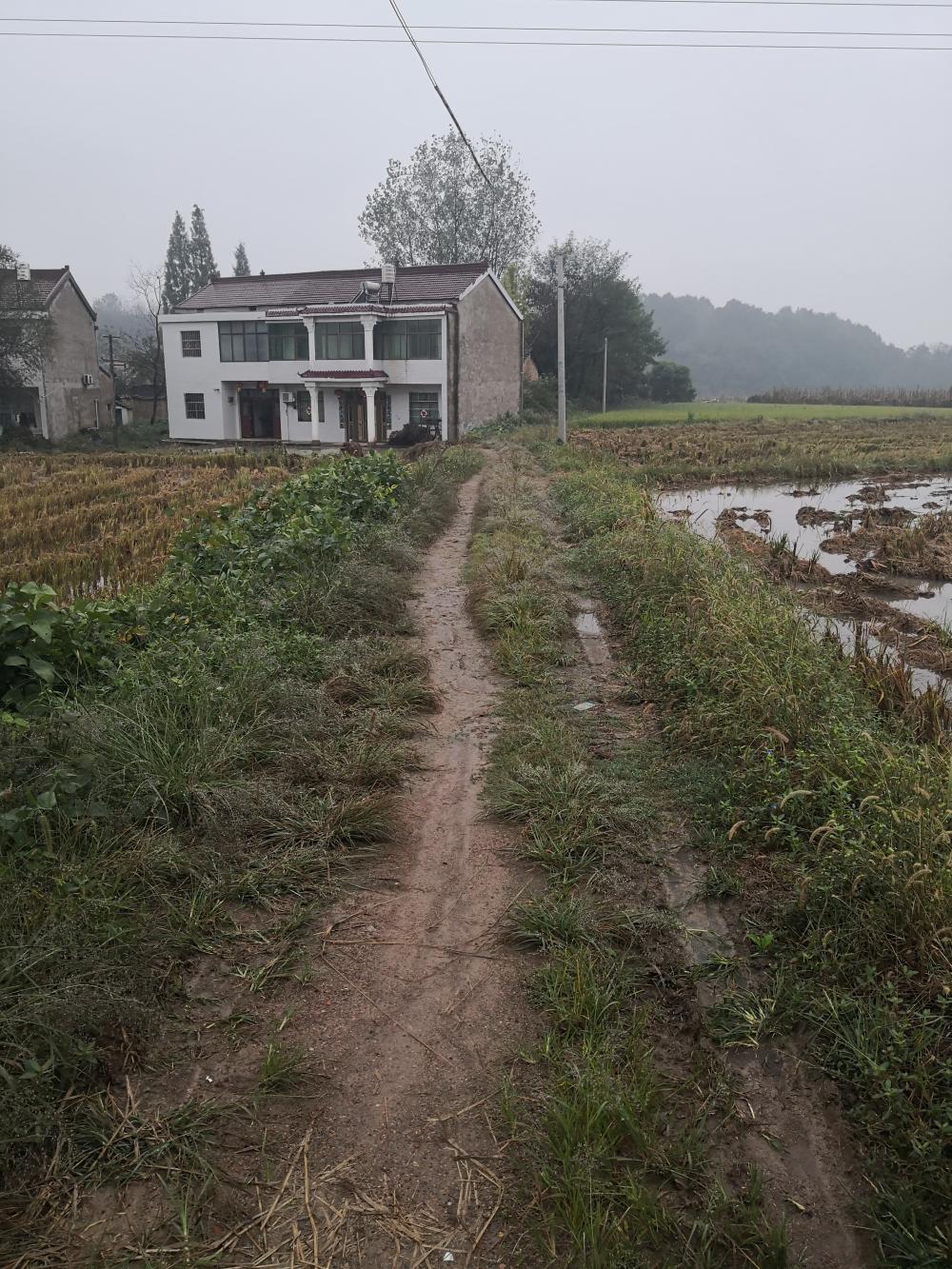 东河口镇松湾村大圩村民组道路修建