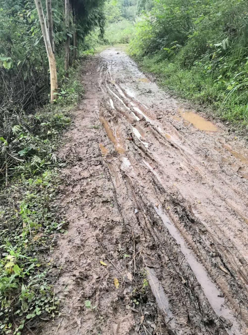 农村的泥泞路什么时候能修成水泥路呢 乐至县委书记 资阳市