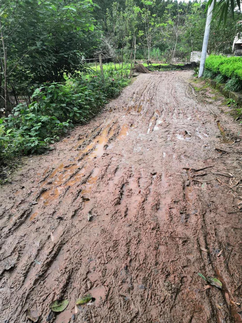 农村的泥泞路什么时候能修成水泥路呢