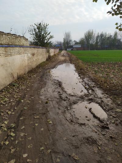 对不起,我们村的道路拖后腿了 睢县县委书记 商丘市 河南省