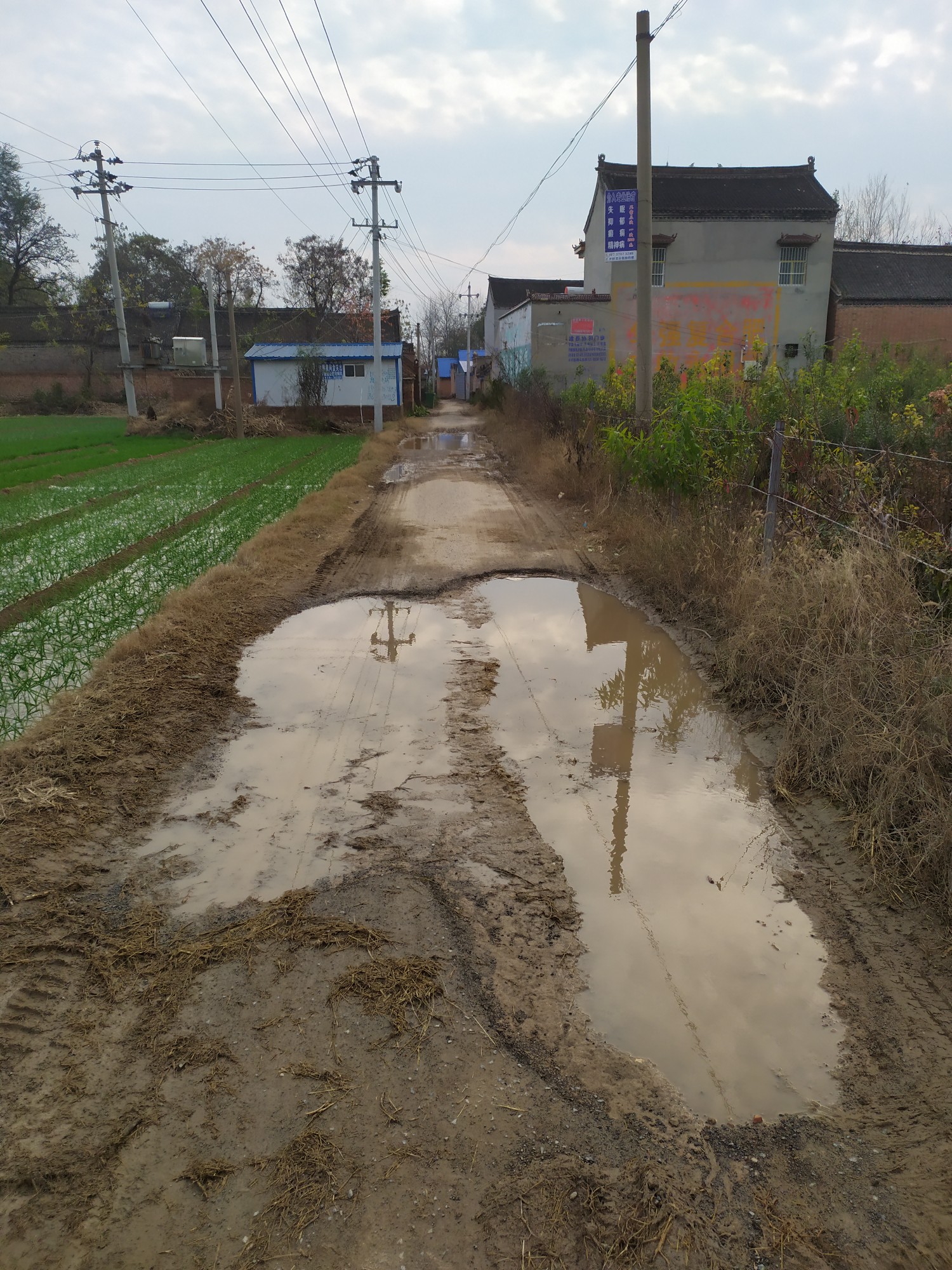 对不起,我们村的道路拖后腿了 - 睢县县委书记 - 商丘市 - 河南省