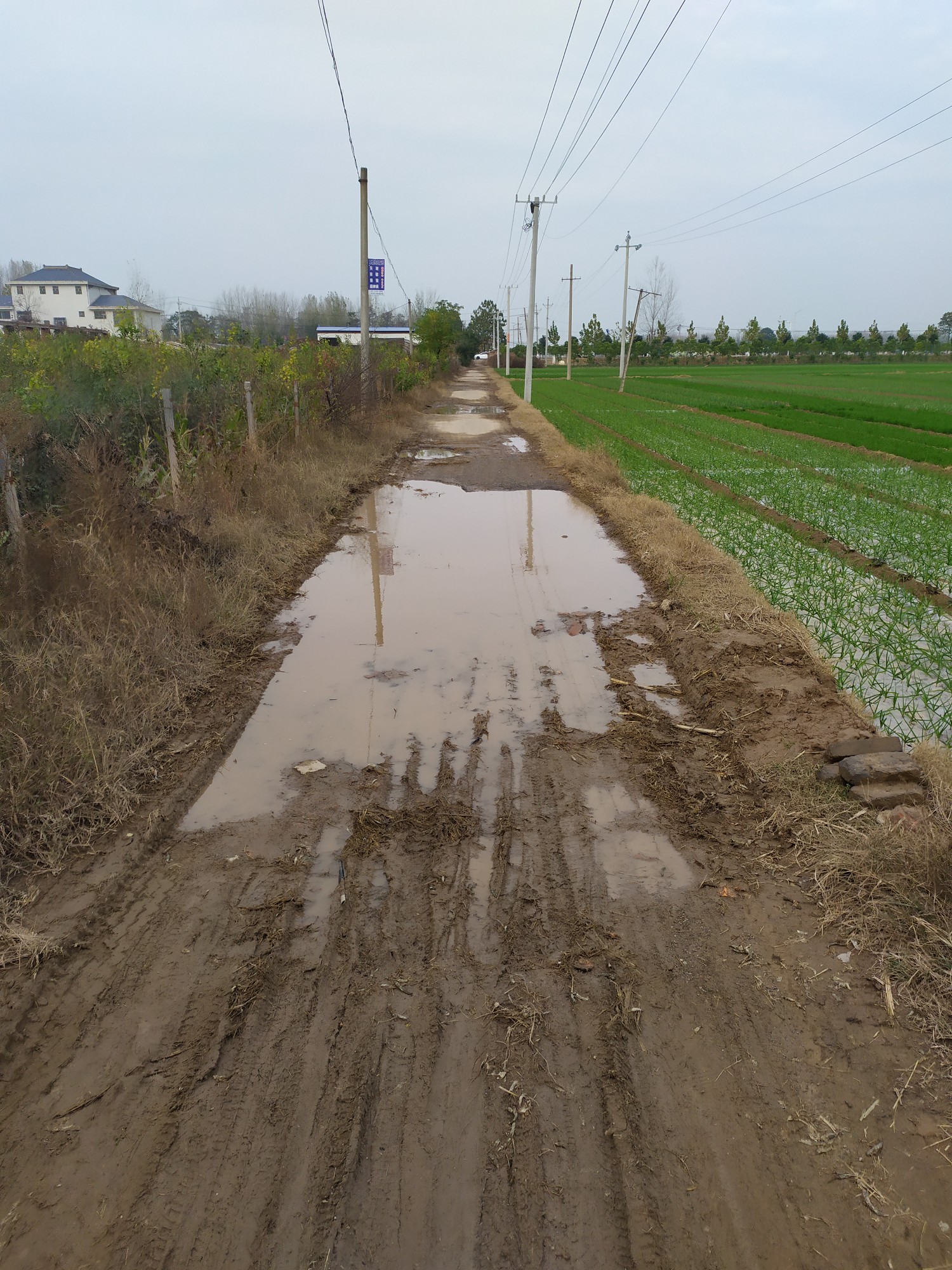 对不起,我们村的道路拖后腿了 睢县县委书记 商丘市 河南省