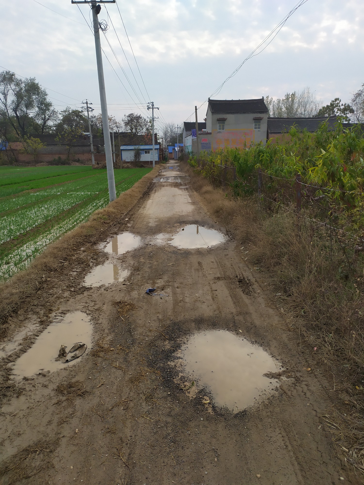 对不起,我们村的道路拖后腿了 睢县县委书记 商丘市 河南省