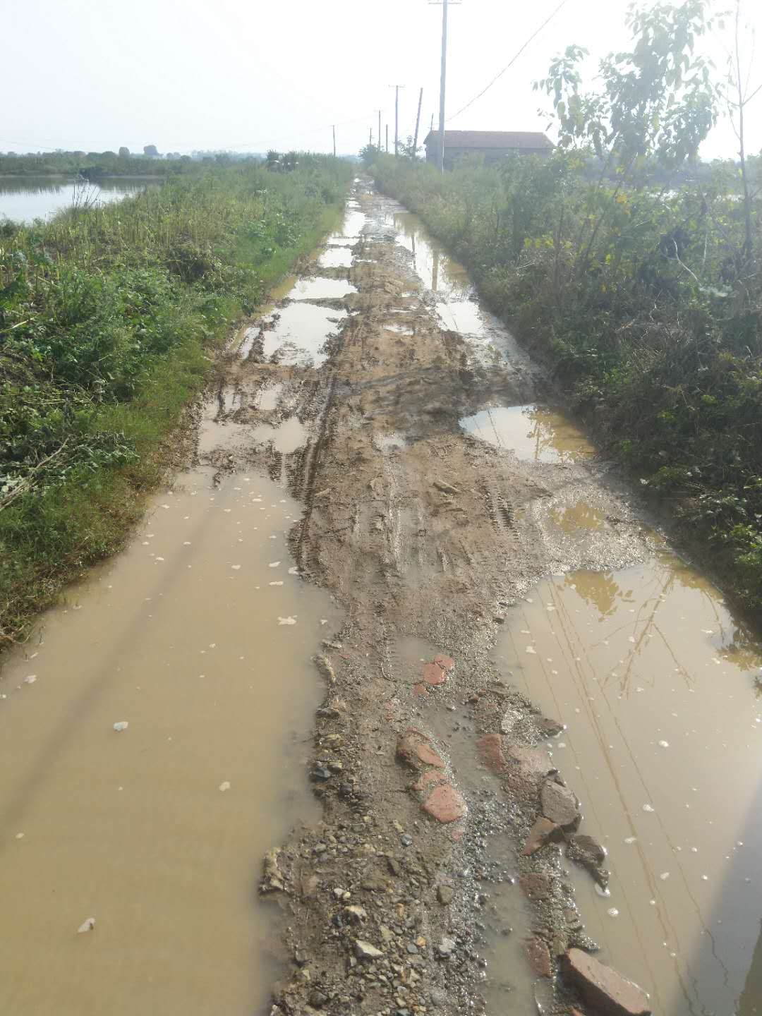 道路泥泞不堪何时能去修 - 嘉鱼县委书记 - 咸宁市