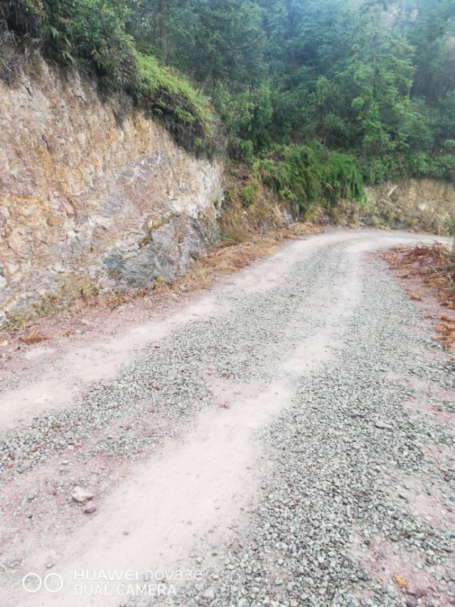 道路硬化 丽水市委书记胡海峰 丽水市 浙江省 领导留言板