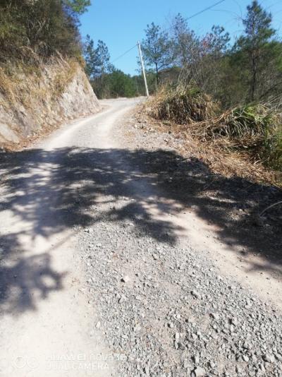 道路硬化 丽水市委书记胡海峰 丽水市 浙江省 领导留言板