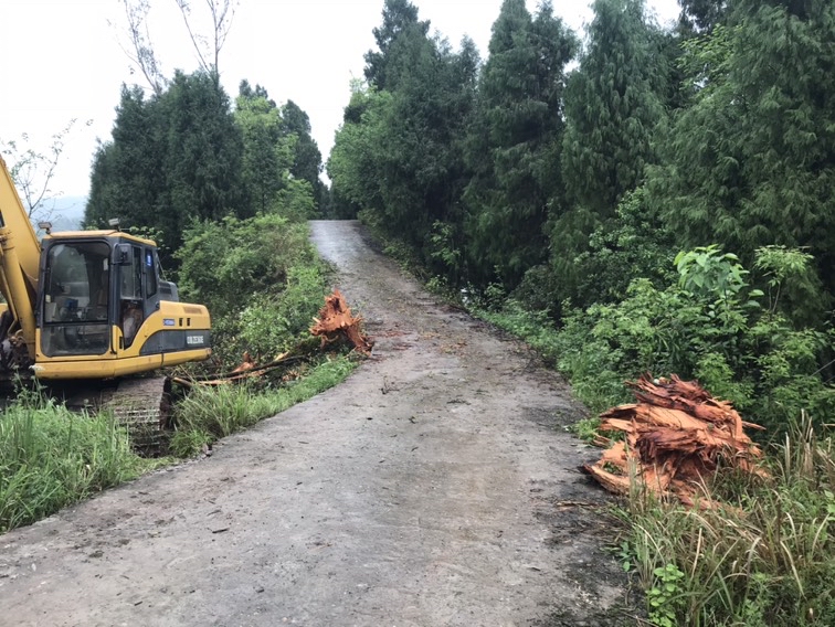 渠县三汇镇大盘村渡口改公路桥没按程序走