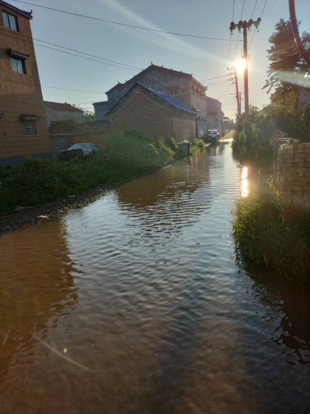 郭屯村道路老化,农田积水问题希望解决