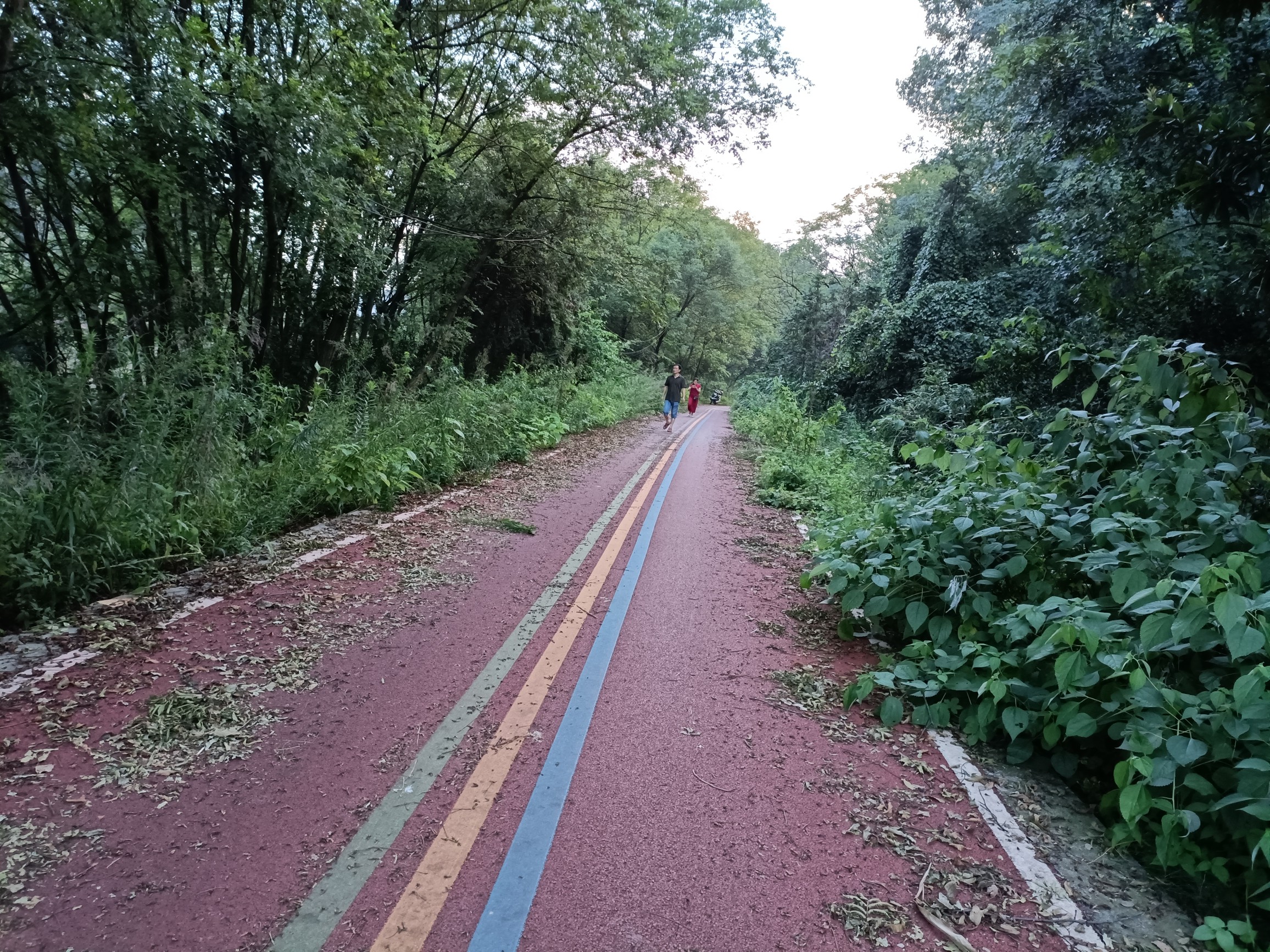 江山如此多娇,这边风景独好 - 江山市委书记 - 衢州市