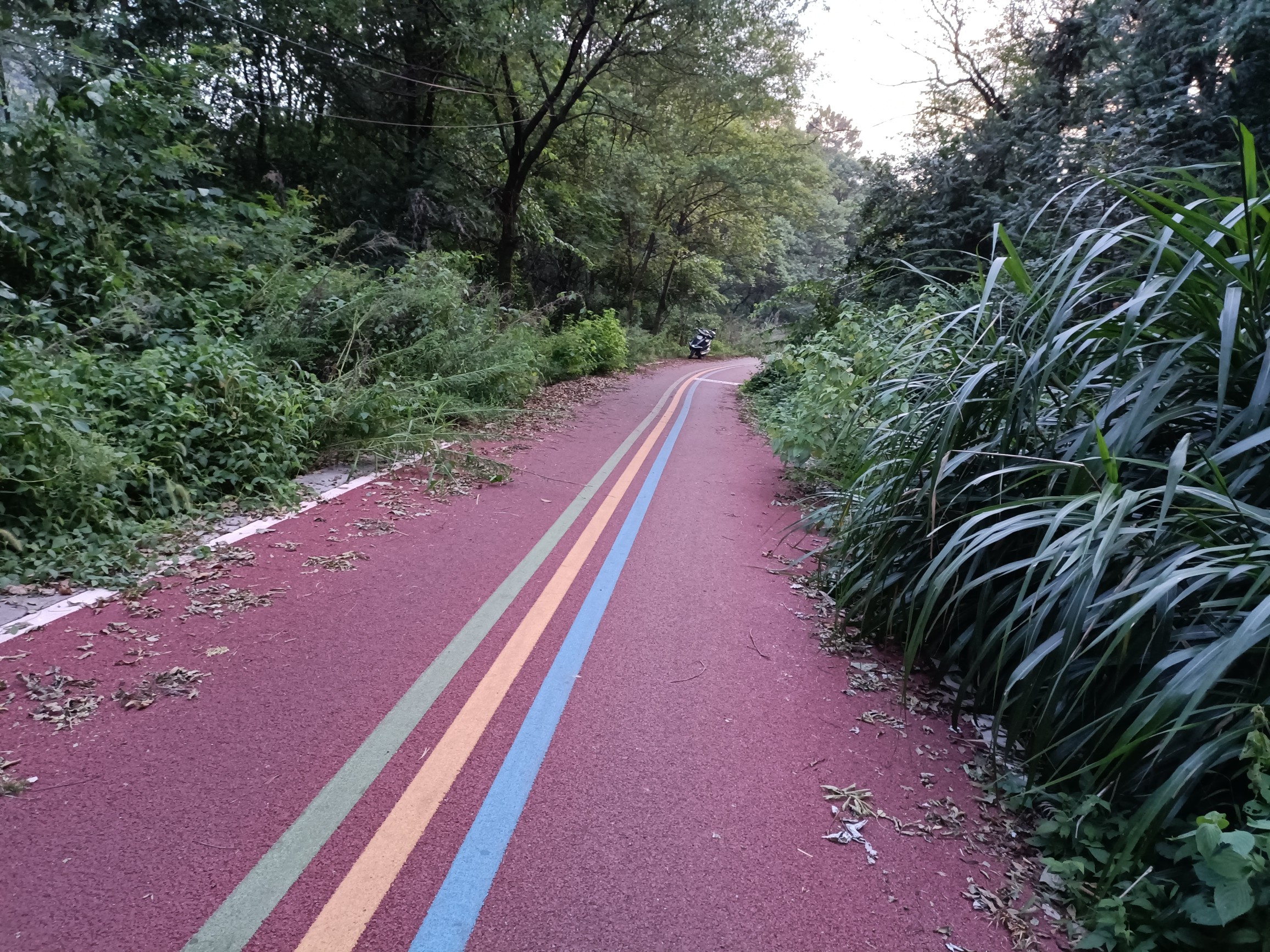 江山如此多娇,这边风景独好 - 江山市委书记 - 衢州市