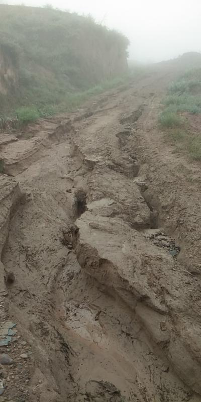 困于大山的"原始部落"渴望走出大山 - 庆城县委书记 - 庆阳市 - 甘肃