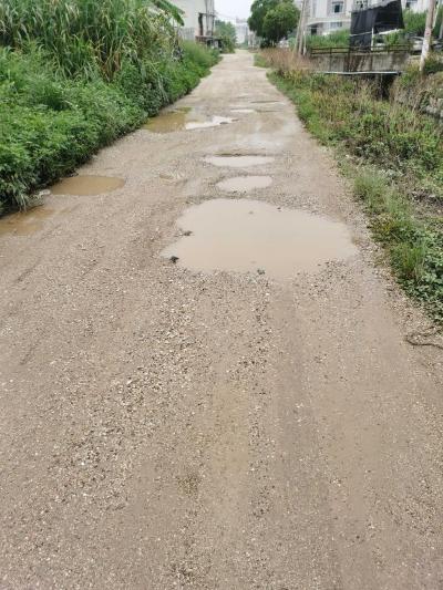 坑坑洼洼的泥土路—枫溪区洋头村