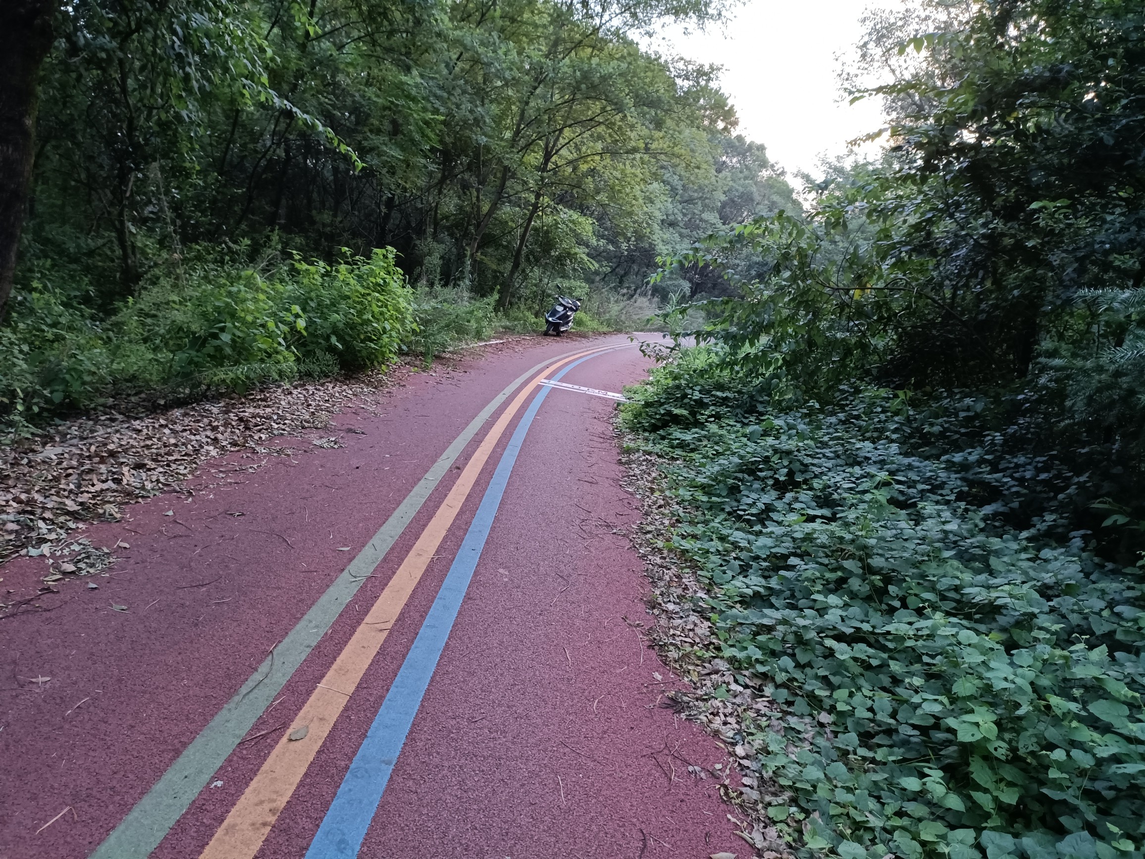 江山如此多娇,这边风景独好 - 江山市委书记 - 衢州市